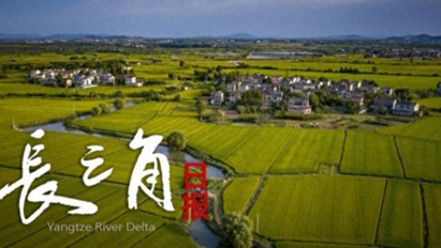 Kaiyun网页版-“苏超”赛场“气晕”的小恐龙有IP文创了